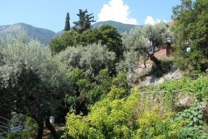 Villa Galanos Nikiana Oda fotoğraf